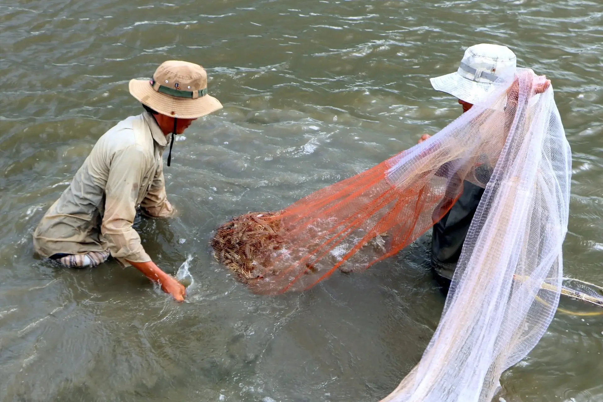 Xổ vuông